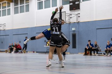 Bild 20 - F HSG Pinnau2 - Rellinger TV2 : Ergebnis: 27:20